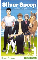 You are currently viewing Silver spoon