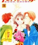 Lire la suite à propos de l’article Hana Yori Dango