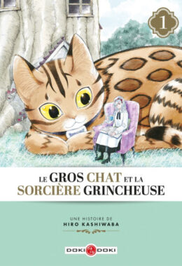 Le gros chat et la sorcière grincheuse