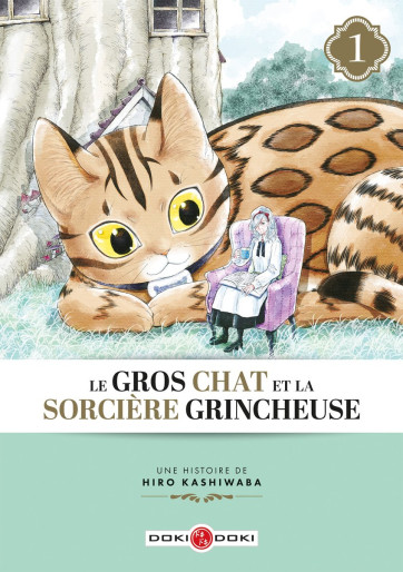 You are currently viewing Le gros chat et la sorcière grincheuse