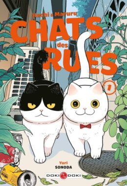 Hachi & Maruru, chat des rues