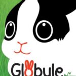 Lire la suite à propos de l’article Globule