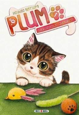 Plum, un amour de chat